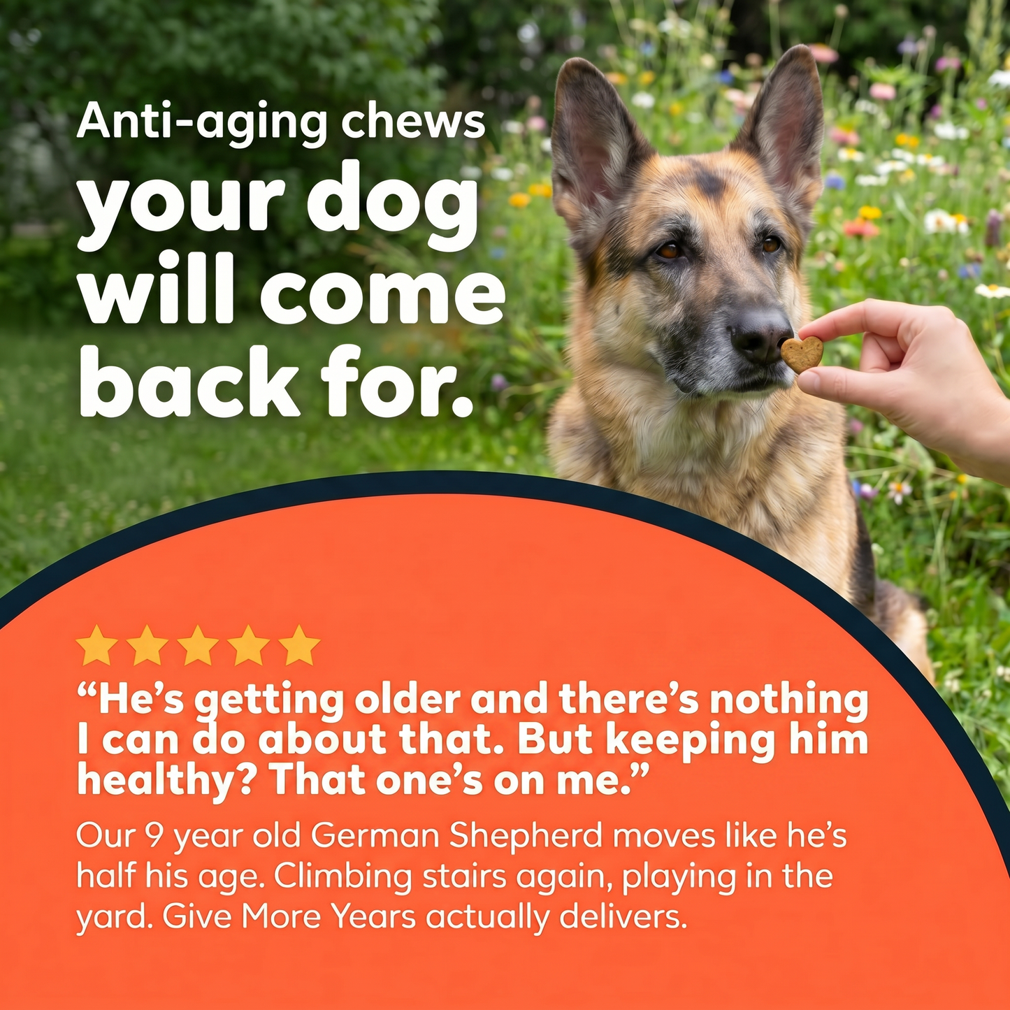 Advanced 11-in-1 Anti-Aging Chews