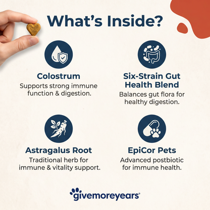 Immune & Allergy Bites