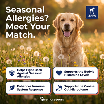 Immune & Allergy Bites