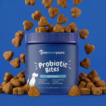 Probiotic Gut Health Soft Chews