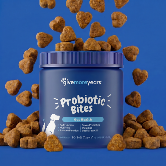 Probiotic Gut Health Soft Chews