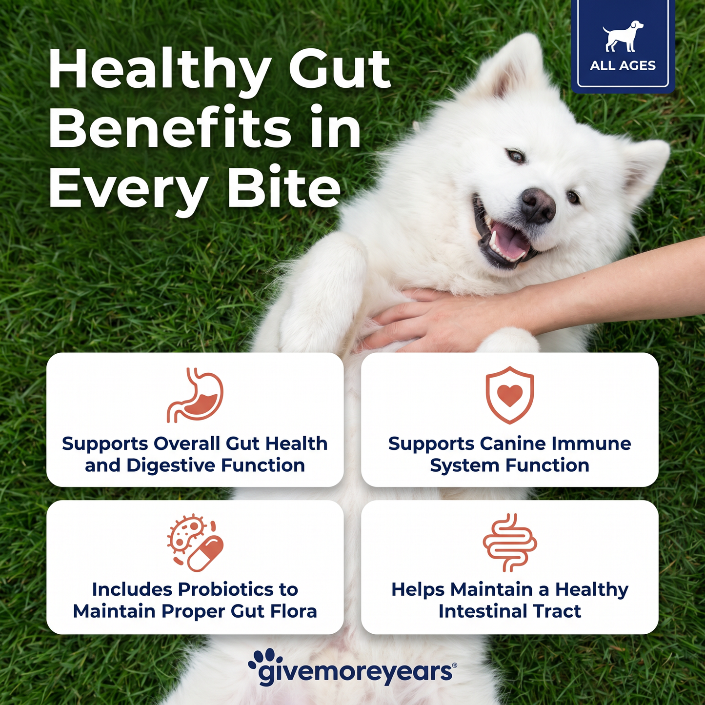 Probiotic Gut Health Soft Chews
