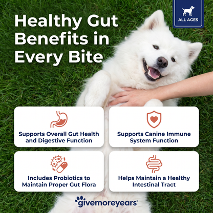Probiotic Gut Health Soft Chews