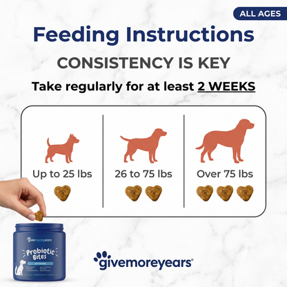 Probiotic Gut Health Soft Chews