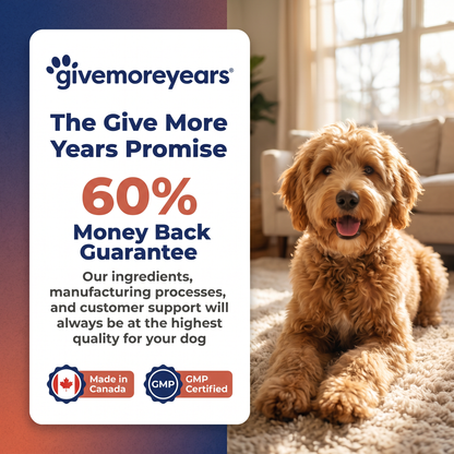 Probiotic Gut Health Soft Chews